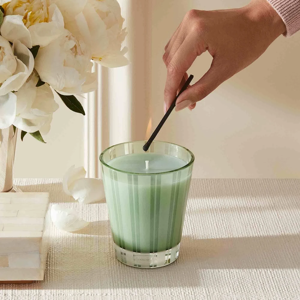 Wild Mint & Eucalyptus Classic Candle