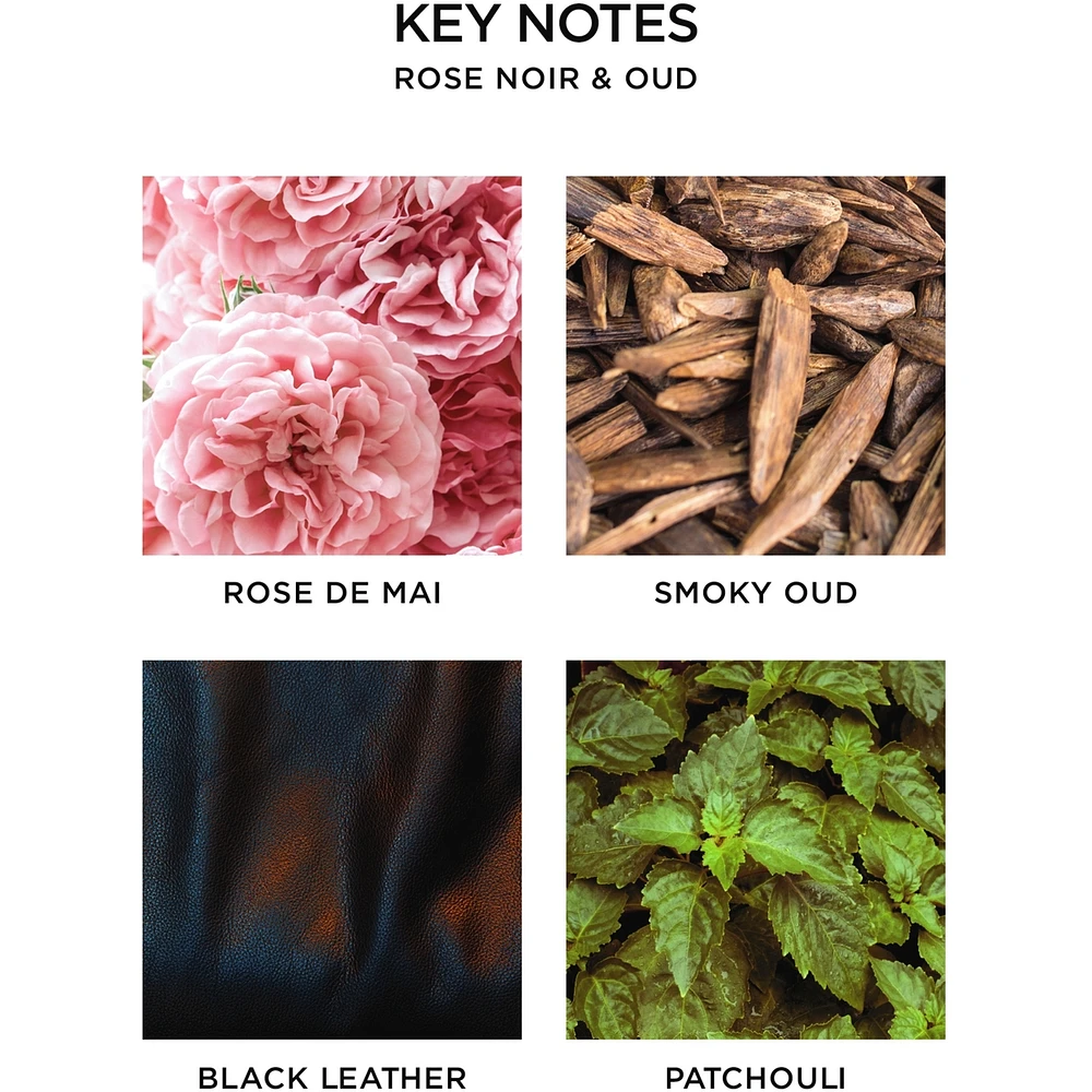 Rose Noir & Oud Wall Diffuser Refill