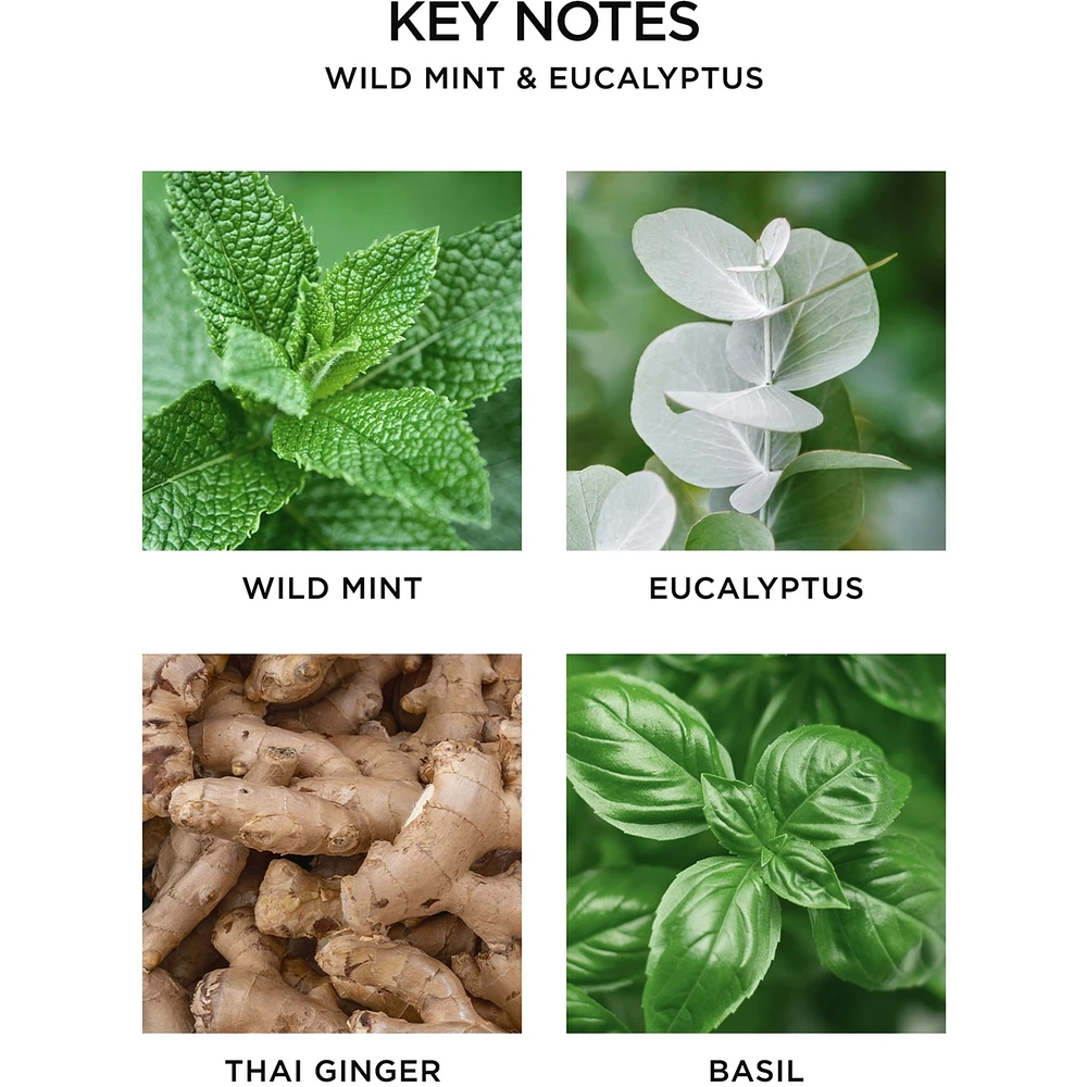 Wild Mint & Eucalyptus Wall Diffuser Refill