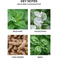 Wild Mint & Eucalyptus Wall Diffuser Refill