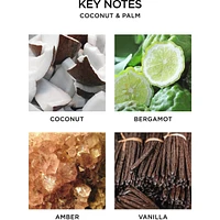Coconut & Palm Reed Diffuser