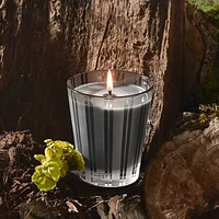 Charcoal Woods Classic Candle