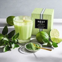 Lime Zest & Matcha Classic Candle