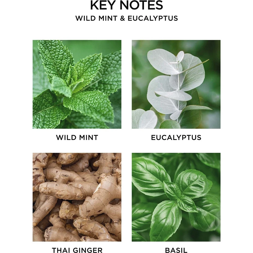Wild Mint & Eucalyptus Reed Diffuser