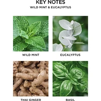 Wild Mint & Eucalyptus Reed Diffuser