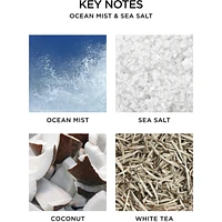 Ocean Mist & Sea Salt Reed Diffuser