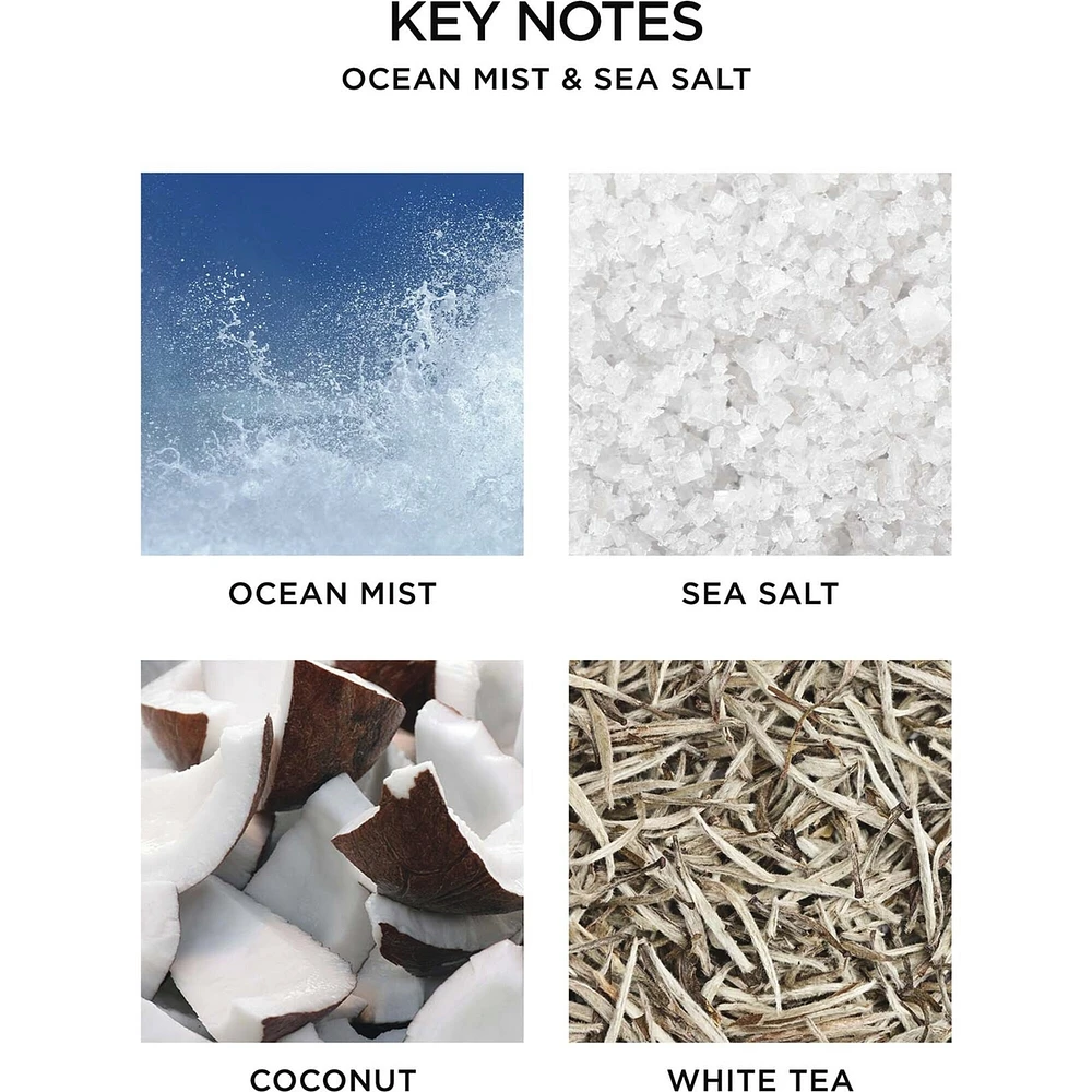 Ocean Mist & Sea Salt Reed Diffuser