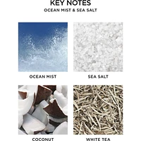 Ocean Mist & Sea Salt Reed Diffuser