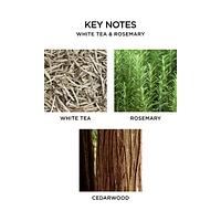 White Tea & Rosemary Multi-Wick Decorative Candle