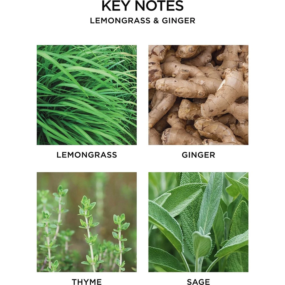 Lemongrass & Ginger Reed Diffuser