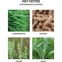 Lemongrass & Ginger Reed Diffuser