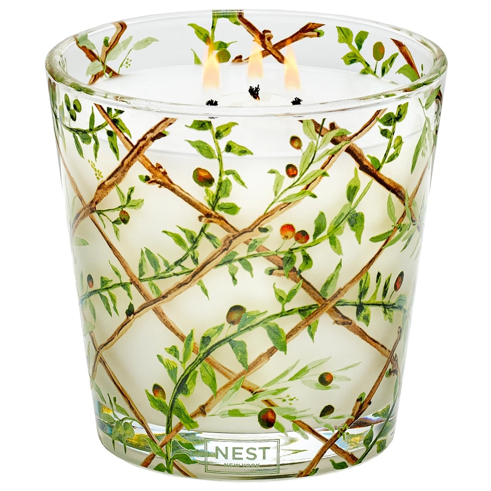 Santorini Olive & Citron Specialty 3-Wick Candle