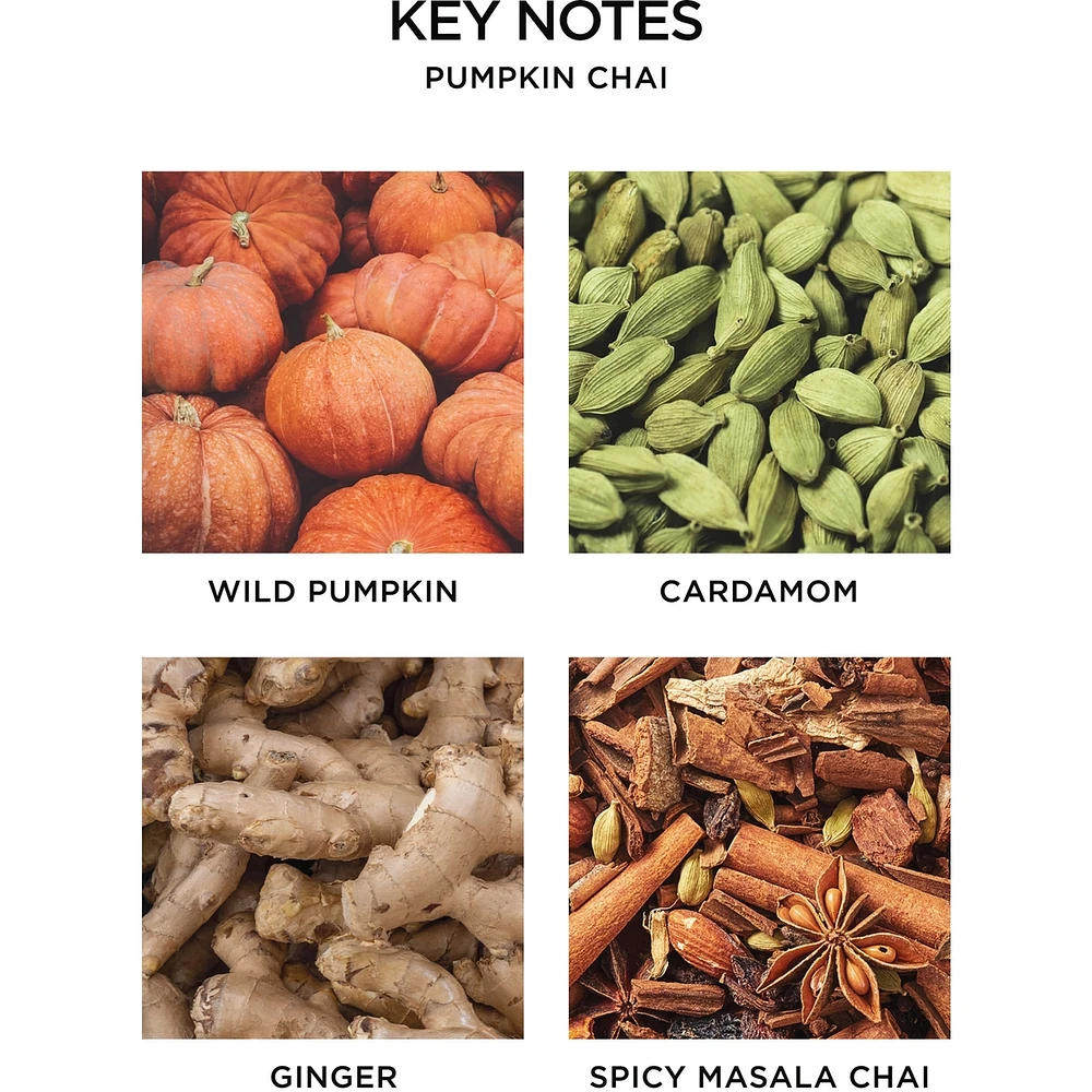 Pumpkin Chai Reed Diffuser
