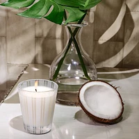 Coconut & Palm Classic Candle