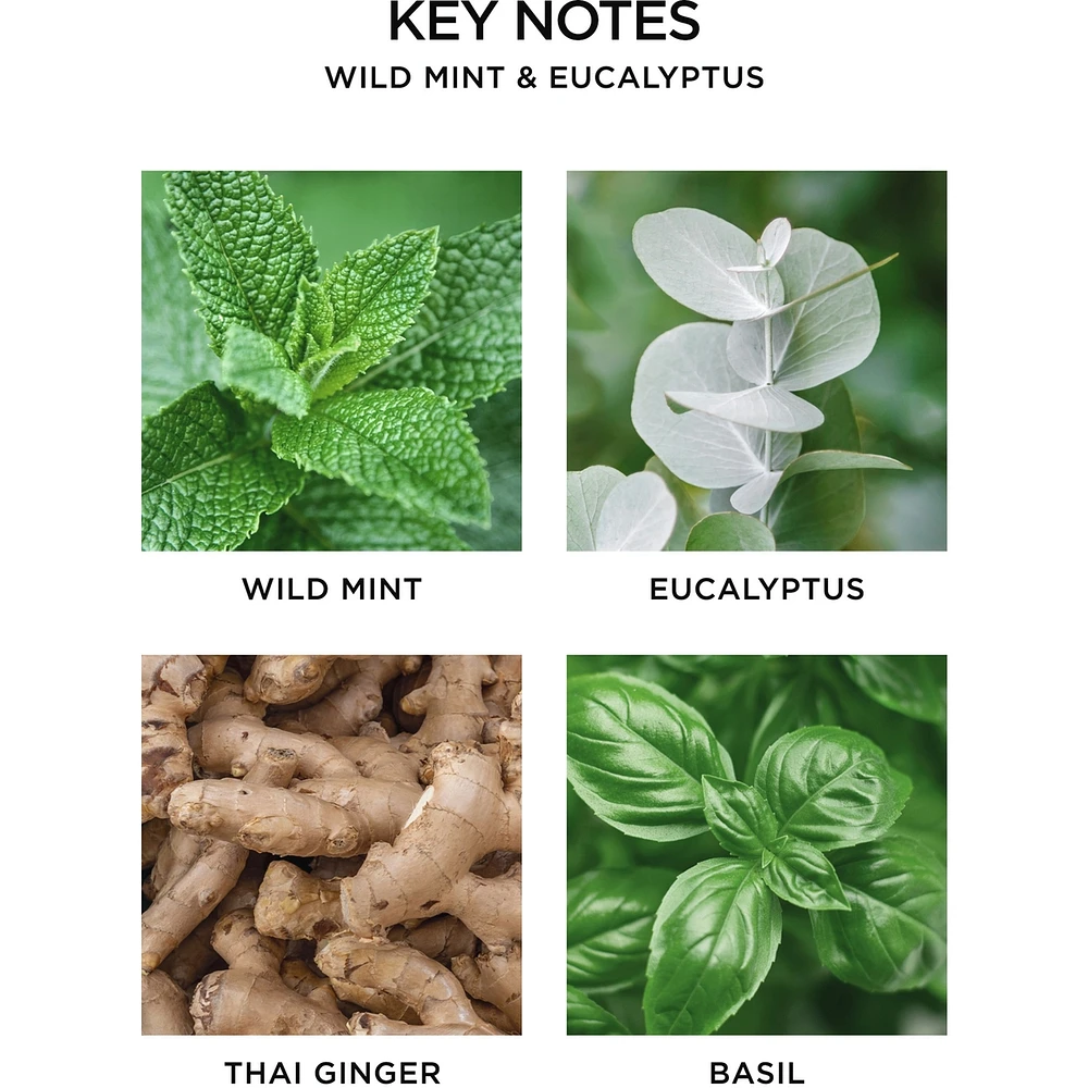 Portable Fragrance Diffuser Set