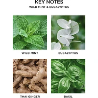 Portable Fragrance Diffuser Set