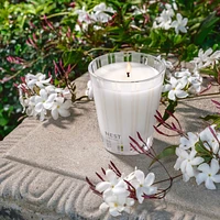 Indian Jasmine Classic Candle