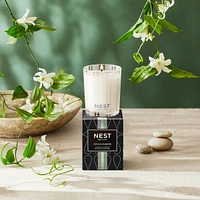 Indian Jasmine Votive Candle