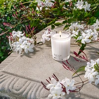 Indian Jasmine Votive Candle