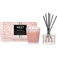 Himalayan Salt & Rosewater Petite Candle & Diffuser Set
