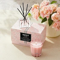 Himalayan Salt & Rosewater Petite Candle & Diffuser Set