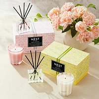Himalayan Salt & Rosewater Petite Candle & Diffuser Set