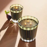 Pistachio & Wild Fig Classic Candle