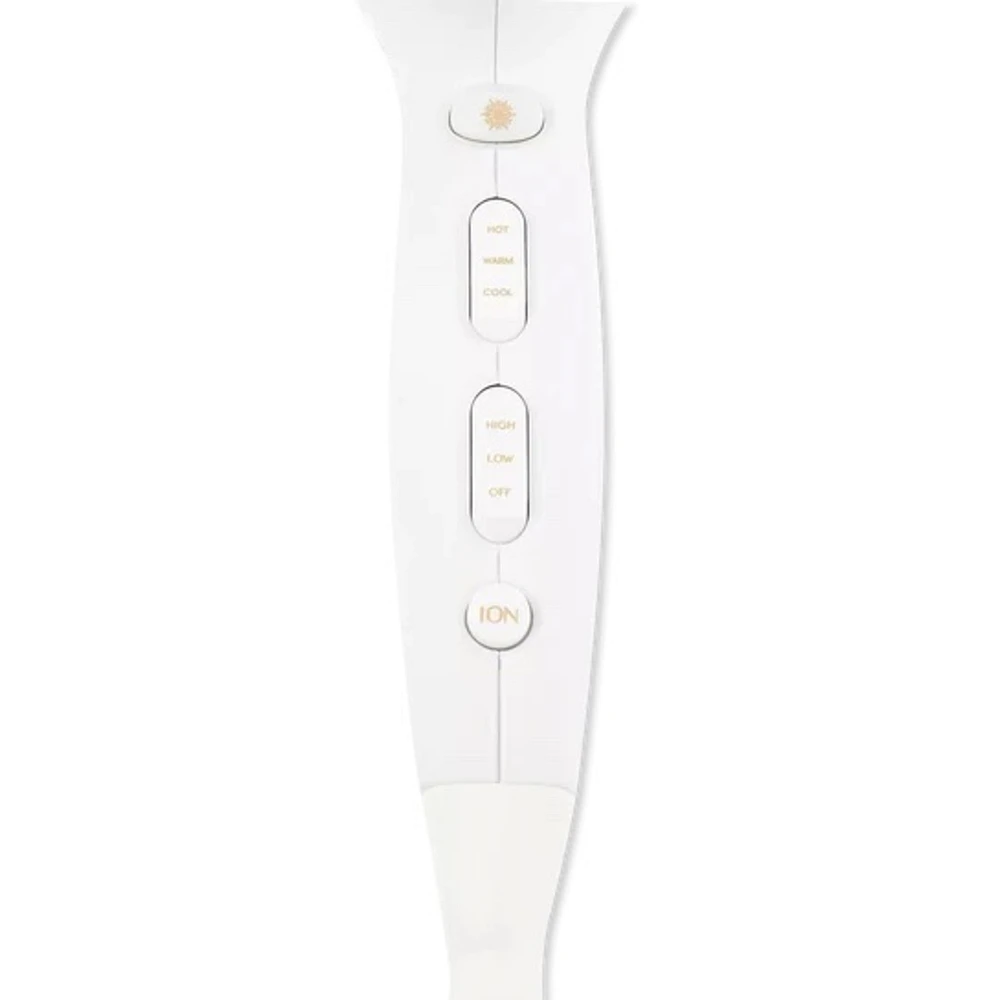 Iconic Style Professional Blow Dryer