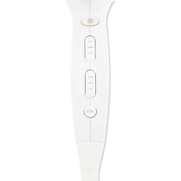 Iconic Style Professional Blow Dryer