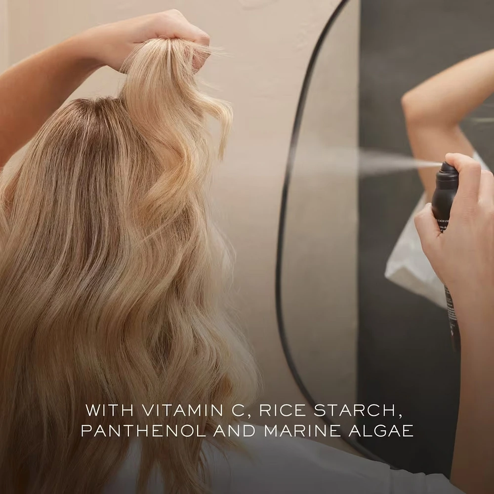 Style Reviving Dry Shampoo