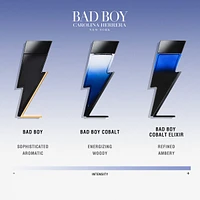 Bad Boy Cobalt Elixir