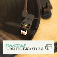 Stir It Up Revolution Turntable