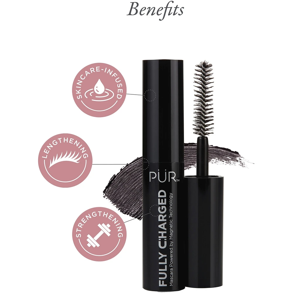 Multitasking Essentials Best Sellers Kit Light