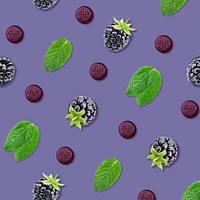 OLLY Supplement For Sleep-Aid Blackberry Zen gluten free 25 day supply 50 gummies