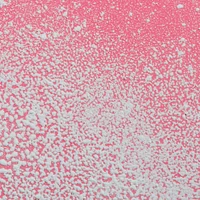 Dry Shampoo Powder