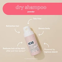 Dry Shampoo Powder