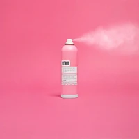 Dry Shampoo Light Tones