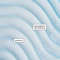 Water Slide Hydration Boosting Serum Hyaluronic Acid + Peptides