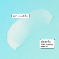 Soft Launch Hydrating Cream Cleanser