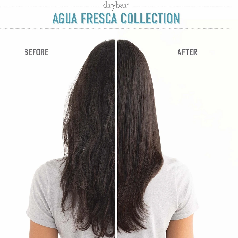 Agua Fresca Hydrating Conditioner