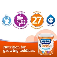Gg Toddler Milk 850g