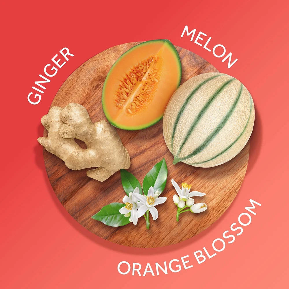 Hawaiian Ginger Skin Nourishing Body Cream