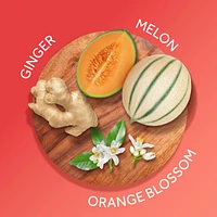 Hawaiian Ginger Skin Nourishing Body Cream