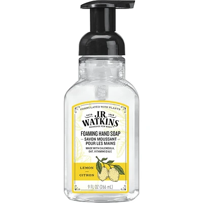 Foaming Hand Soap, Vanilla Mint