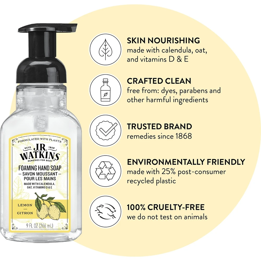 Foaming Hand Soap, Vanilla Mint