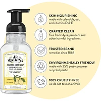 Foaming Hand Soap, Vanilla Mint