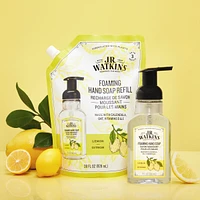 Foaming Hand Soap, Vanilla Mint