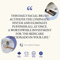 Daily Glow Facial Dry Brush