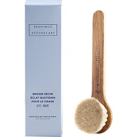 Daily Glow Facial Dry Brush