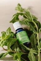Rosemary essential oil